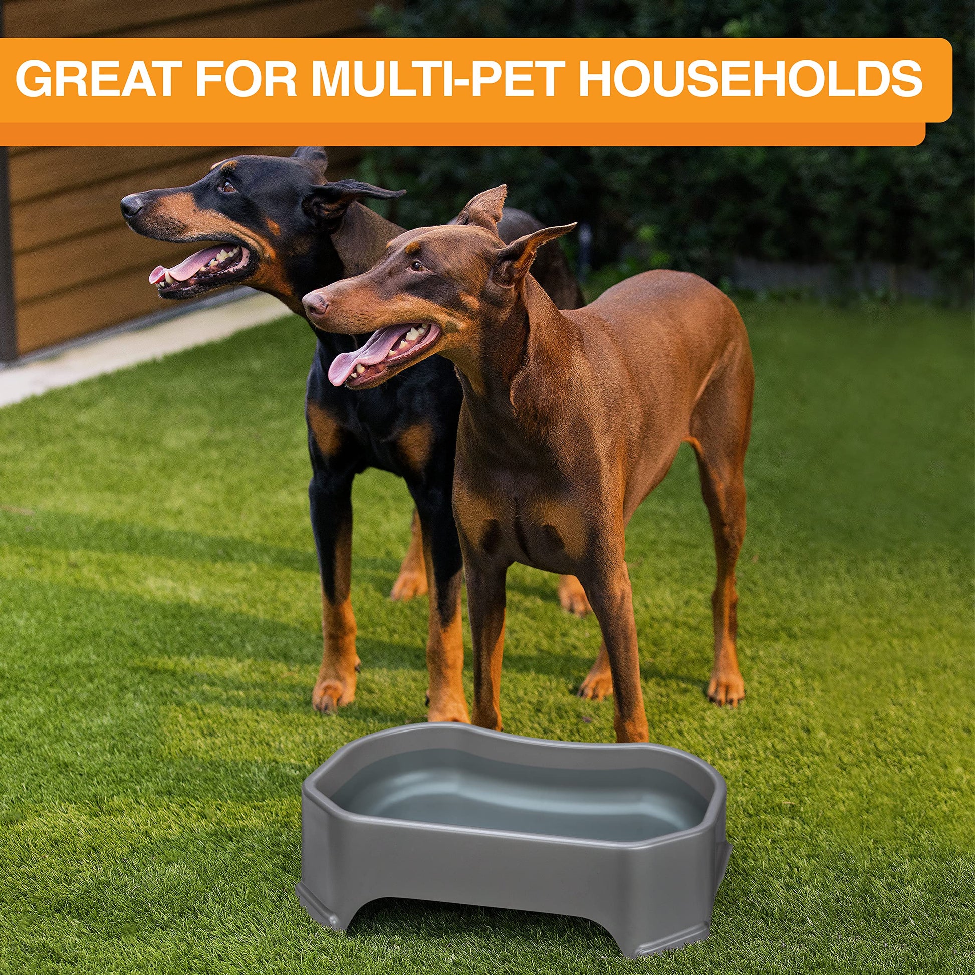 Cuenco de Agua Neater Pet Brands Gris Plomizo Extra Grande para Perros