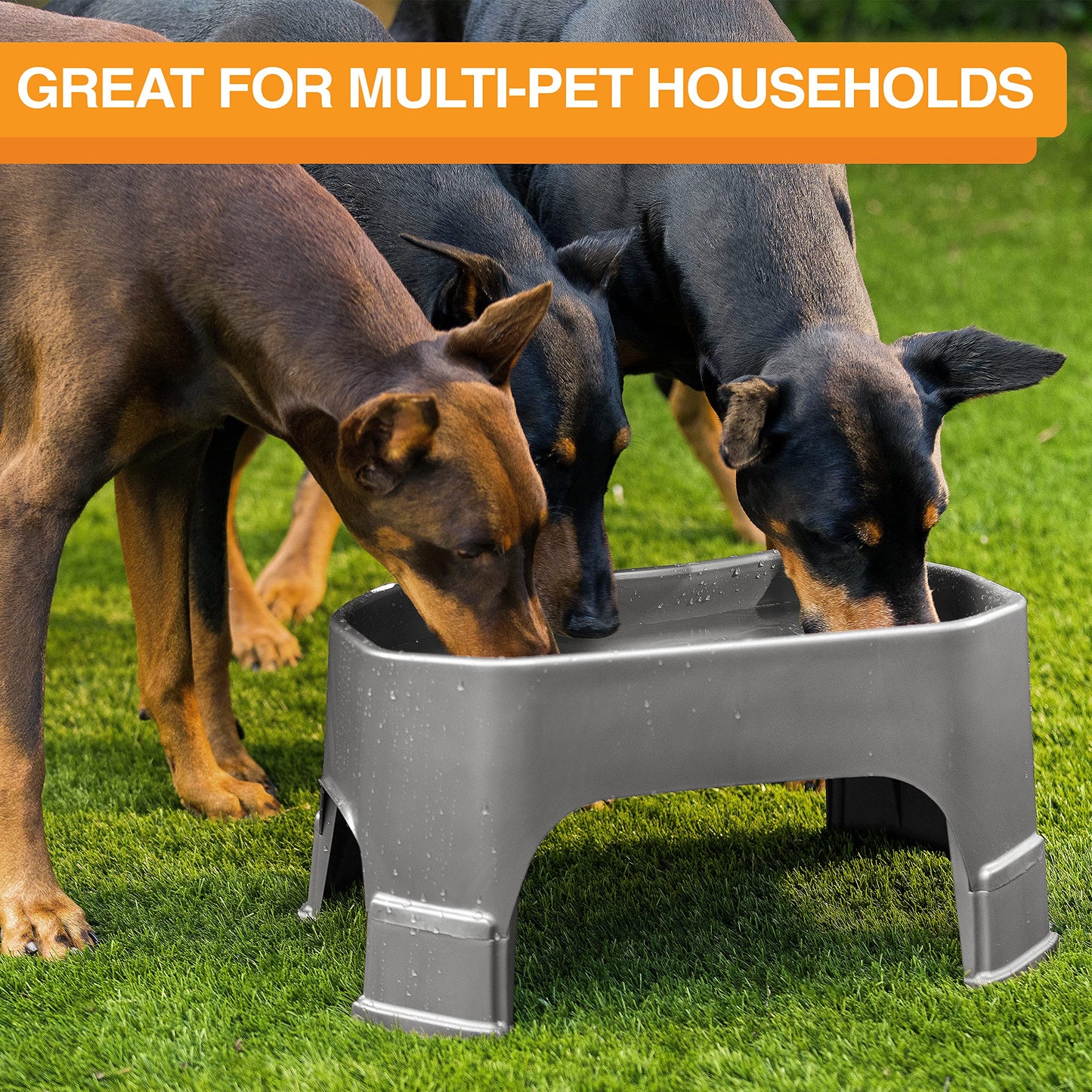 Tazón Grande para Mascota Neater Pet Brands Gunmetal Grey con Extensiones de Pierna para Perro