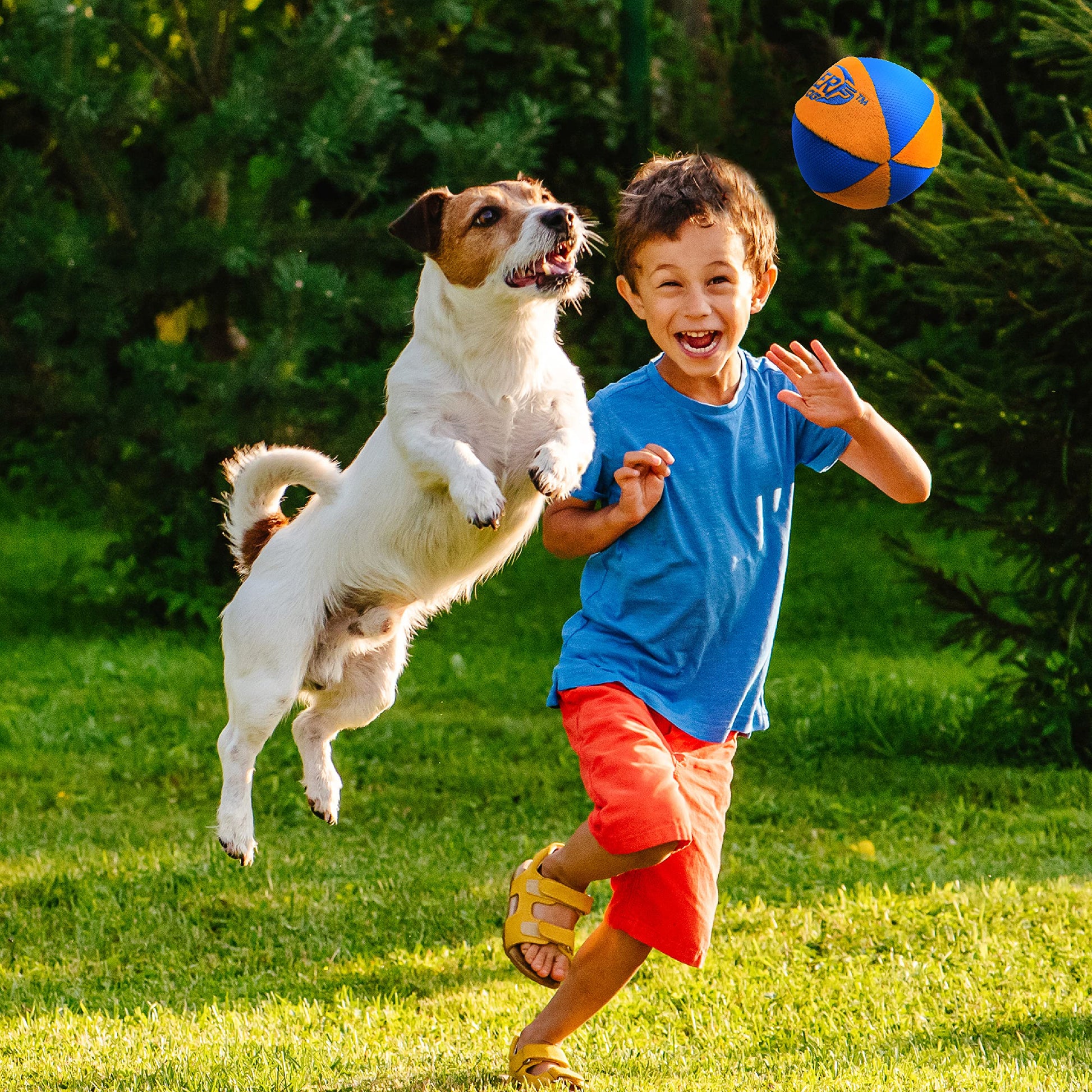 Juguete para Perro Nerf Dog Azul Naranja con Chirriador Interactivo y Crujiente para Razas Medianas/Grandes