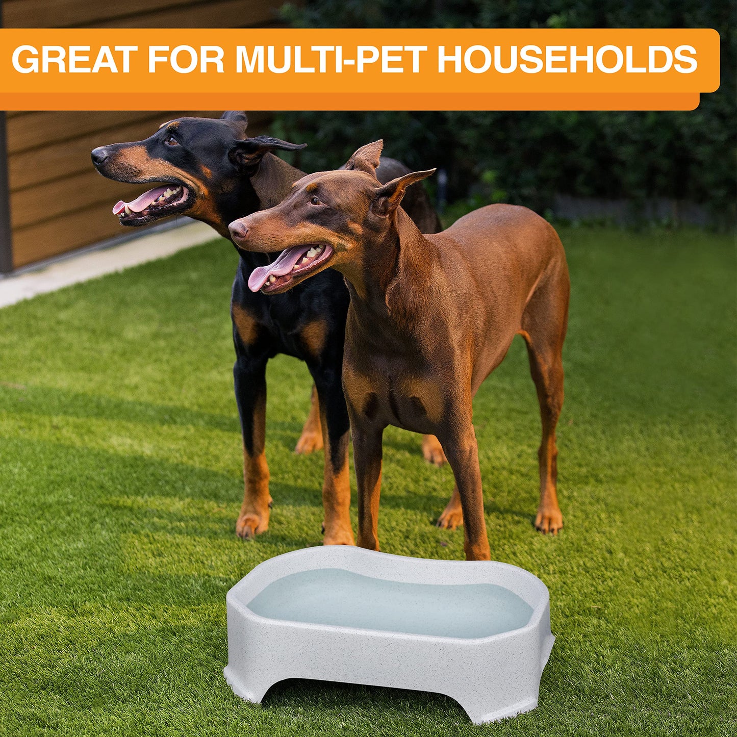 Cuenco de Agua Neater Pet Brands Frijol de Vainilla Extra Grande para Perros