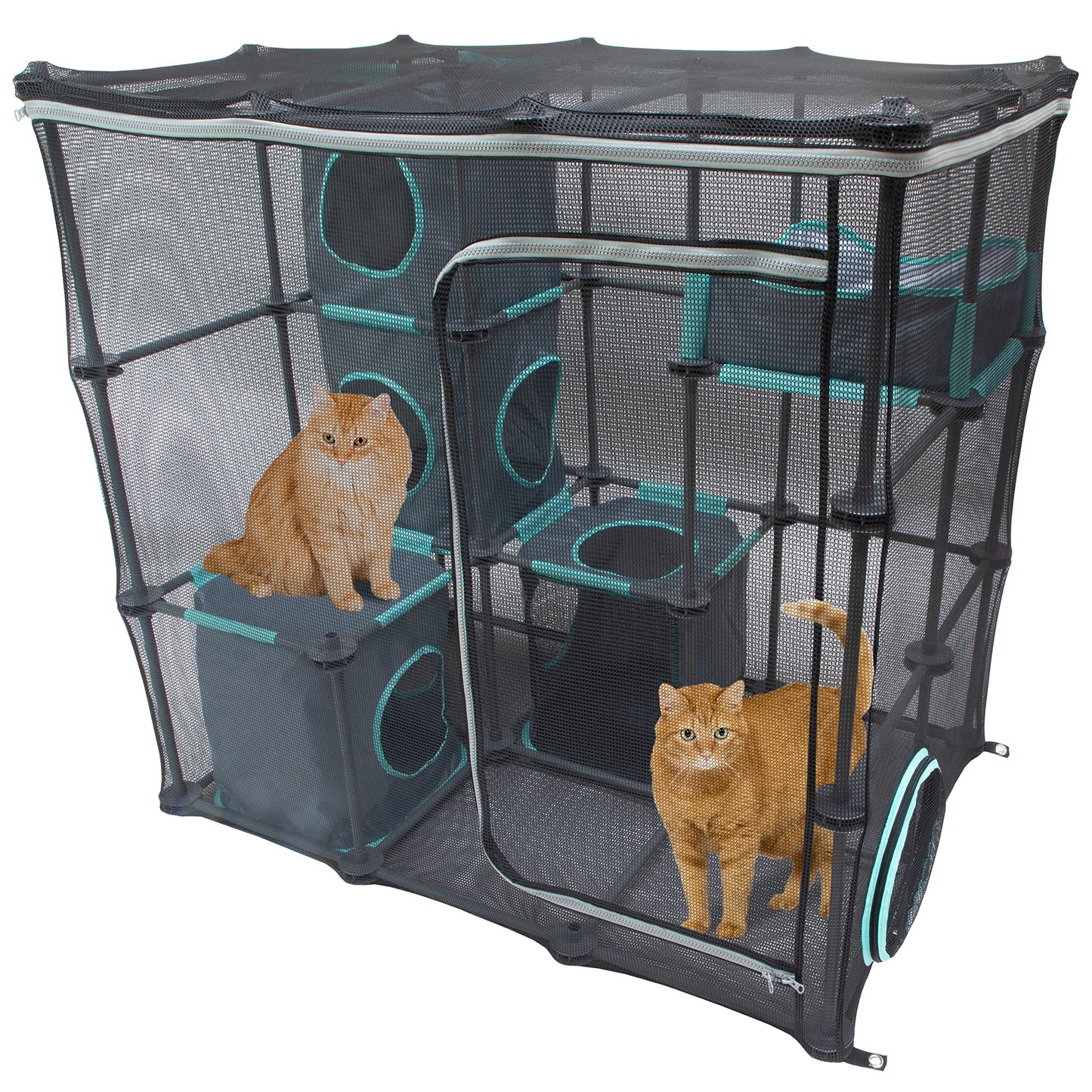 Kitty City - Mega kit de muebles para gatos Claw para interiores y exteriores, cama para gatos, caseta exterior, rascador de gatos corrugado