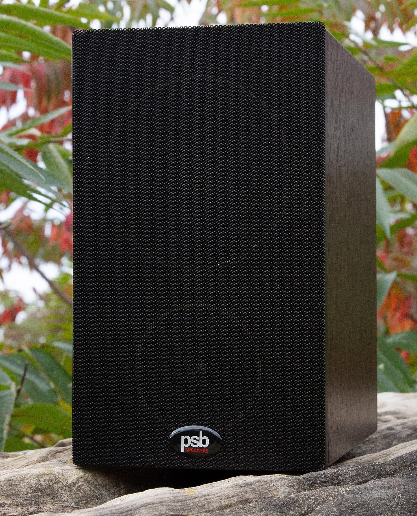 Sistema de Altavoces Tipo Monitor PSB Alpha P3 Negro Ceniza
