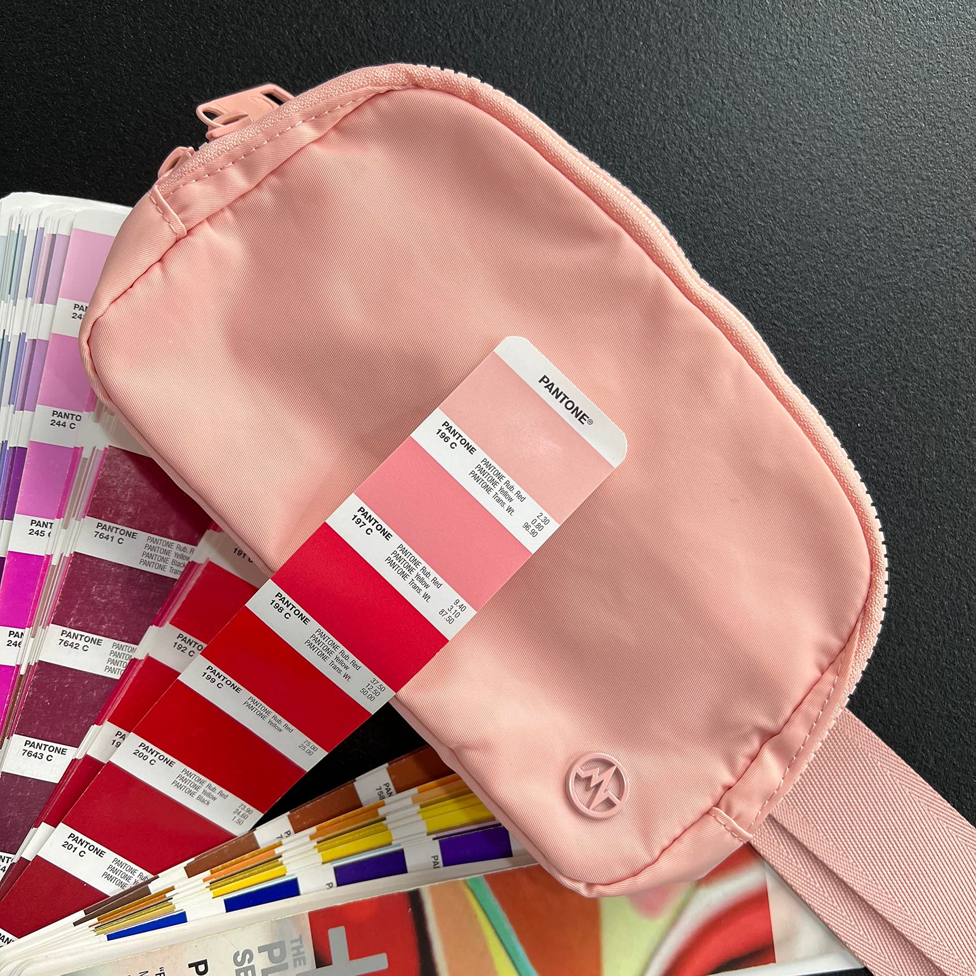 Riñonera Pander Rosa Mono de Nailon con Doble Cierre