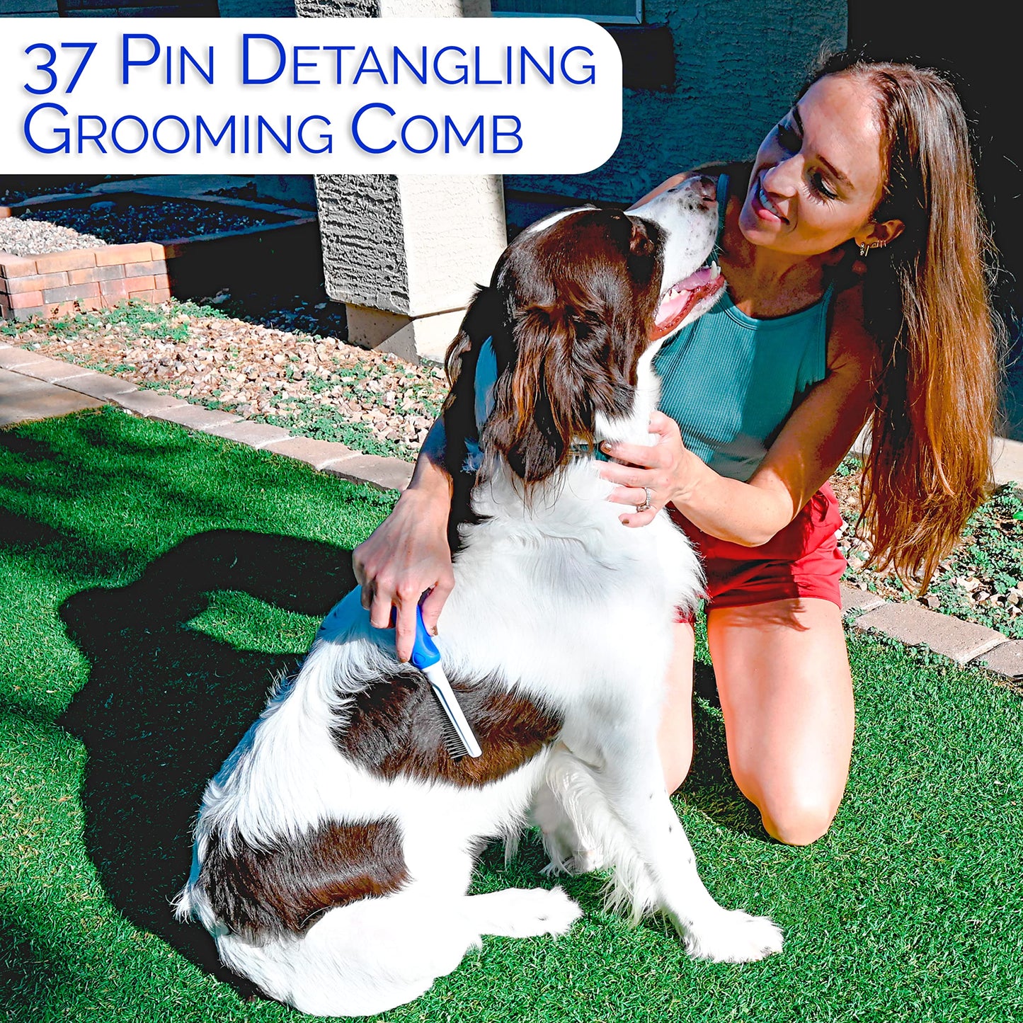 Horicon Pet Juego de cepillos para perros 6 en 1 de alta calidad – Cepillos de aseo para perros – Pin de bola y cepillo de cerdas, peine para desenredar cuchillas curvadas, cepillo para afilar, peine para desenredar mascotas