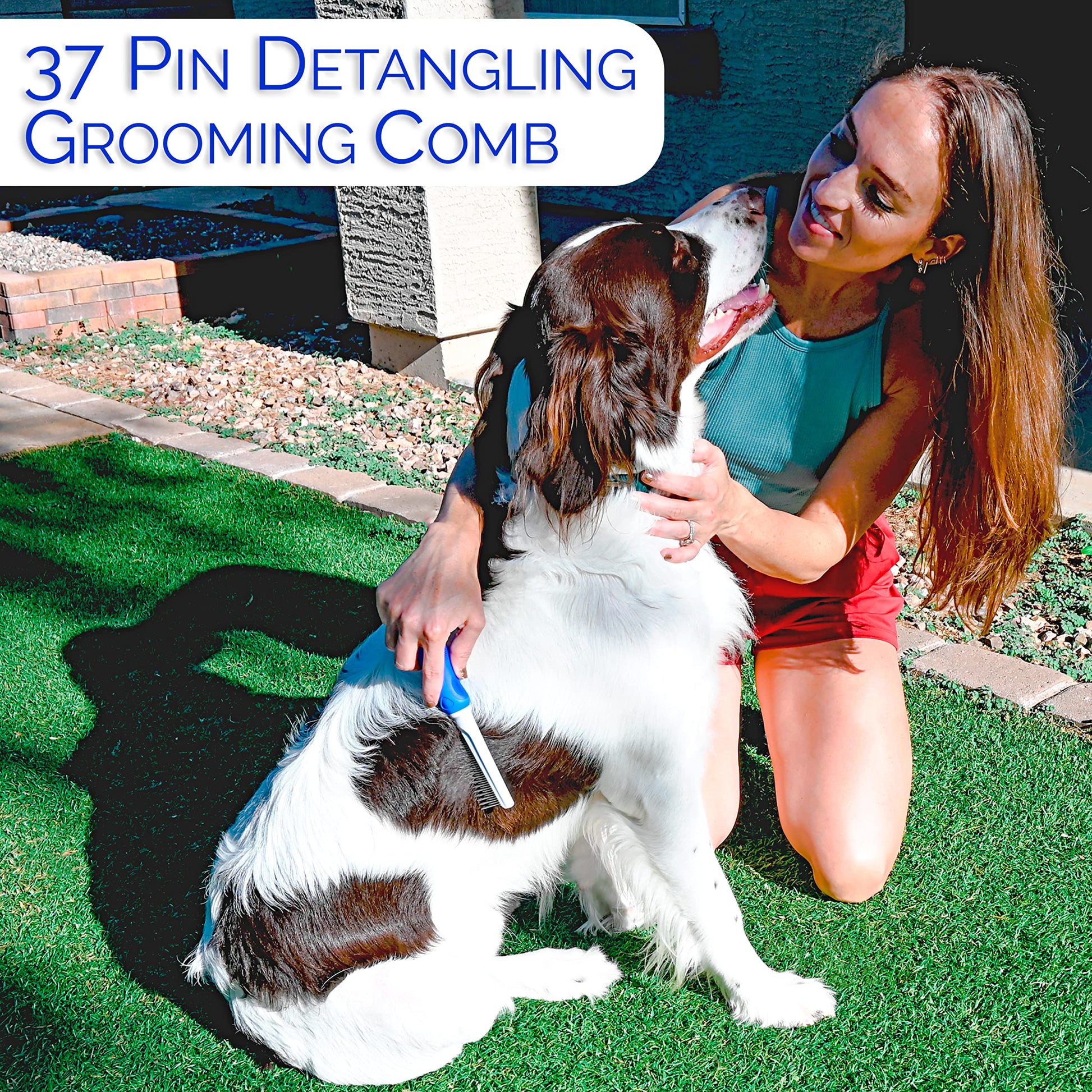 Horicon Pet Juego de cepillos para perros 6 en 1 de alta calidad – Cepillos de aseo para perros – Pin de bola y cepillo de cerdas, peine para desenredar cuchillas curvadas, cepillo para afilar, peine para desenredar mascotas