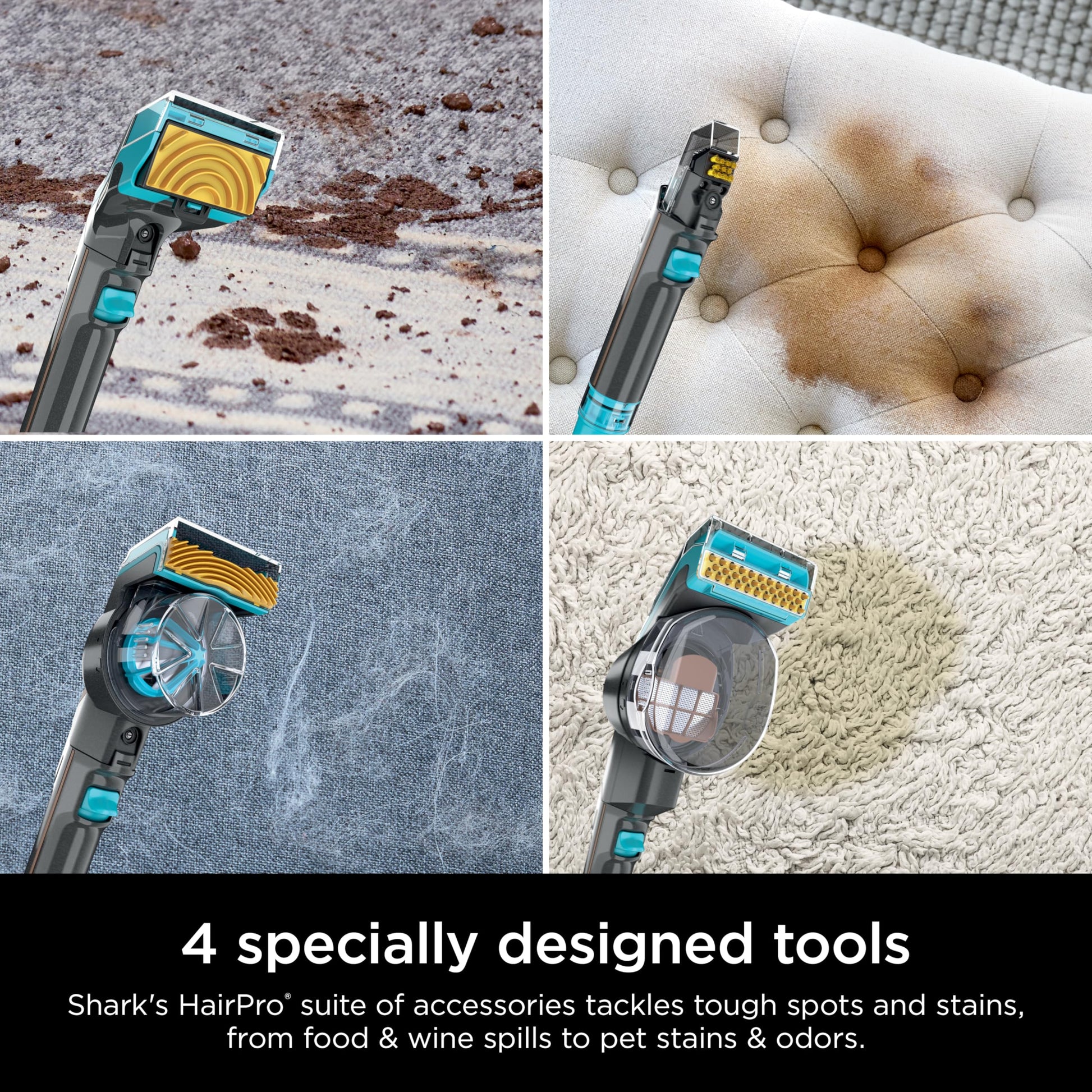 Limpiador de Alfombras Shark CarpetXpert HairPro Azul con StainStriker para Mascotas y Depilación