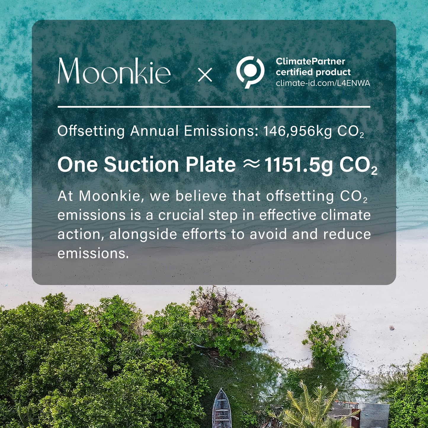 Platos de Succión Moonkie Menta Salvia Gris Lunar Diseño Dividido para Niños 100 % Silicona sin BPA