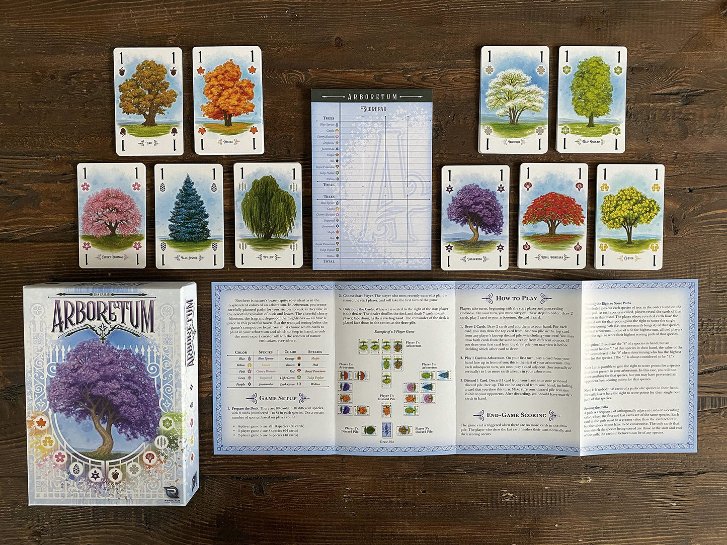 Juego de Cartas Strategy Arboretum Renegade Game Studios Que desafía a 2 a 4 Jugadores para Crear el jardín más Hermoso