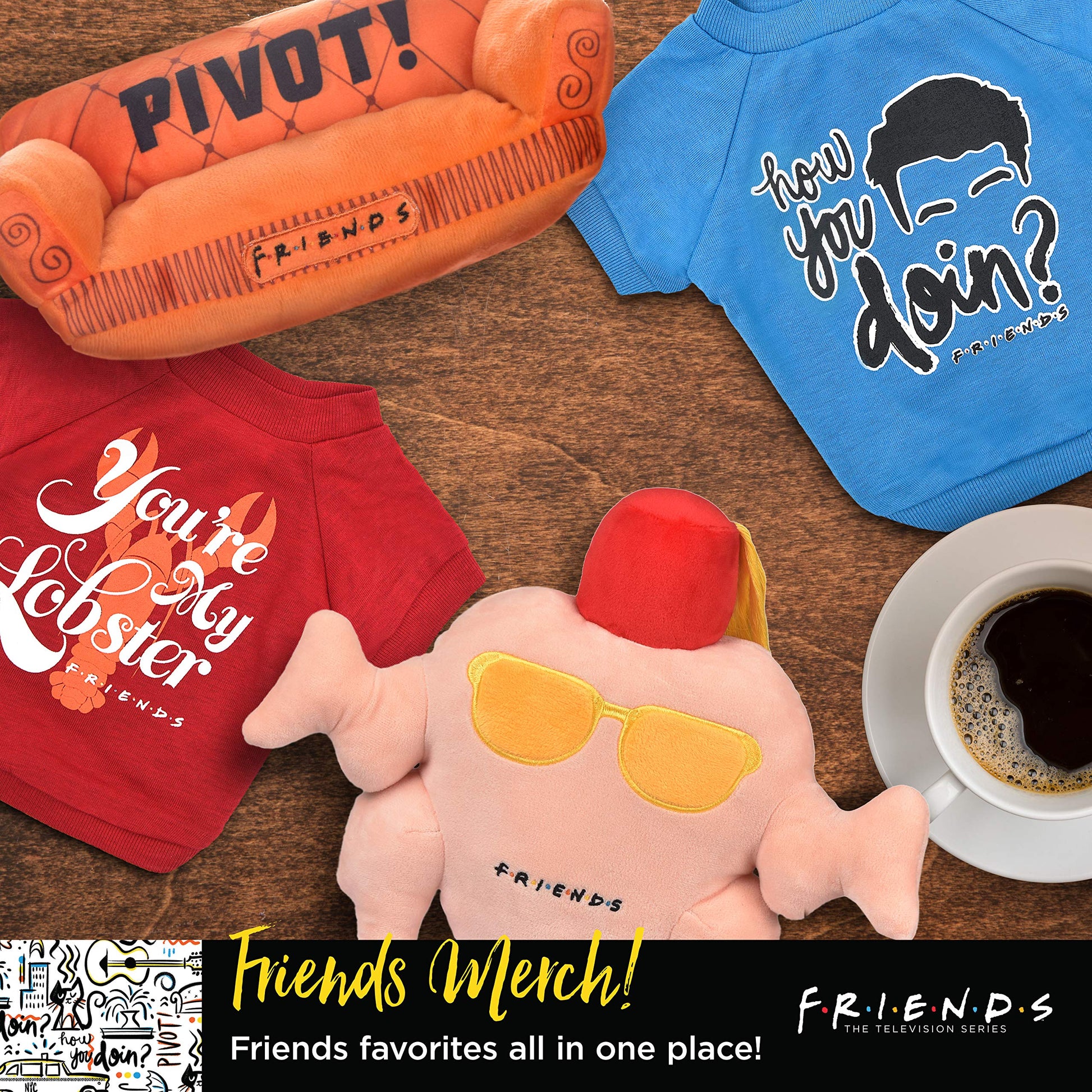 Friends the TV Show Amigos - Juguete para Perro, sofá pivotante Naranja de Friends TV Show Peluche Animal Dog Toy Friends TV Show Merchandise Peluche Dog Toy de 10 Pulgadas (FF13115)