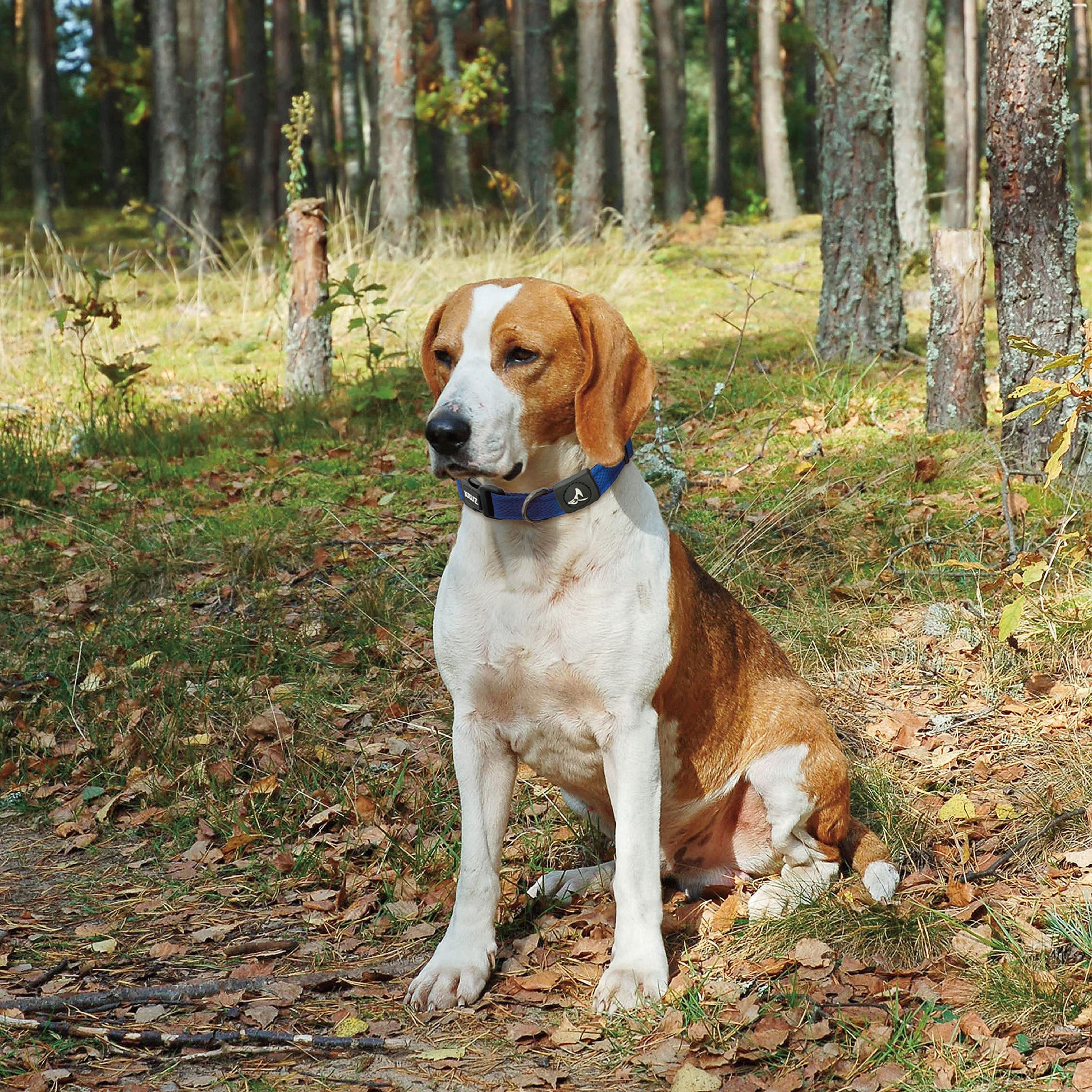 KRUZ PET KZA102-18S Collar de Malla para Perros pequeños, medianos y Grandes, Cuello de Cuello Ajustable, Suave, Ligero, Transpirable, Ajuste cómodo, Rosa Frambuesa, S