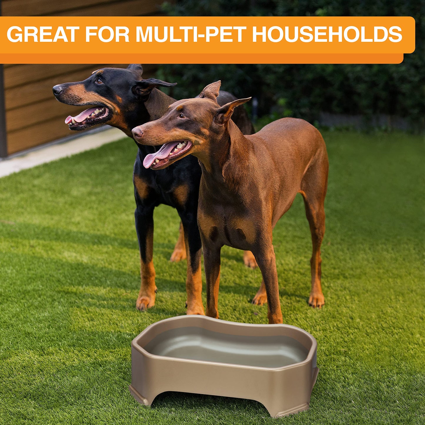 Tazón Grande Neater Pet Brands Champán Extra Grande para Perros